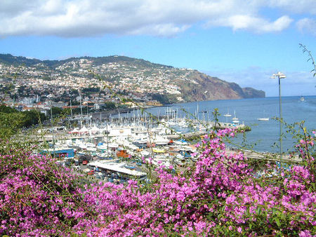 Funchal_large