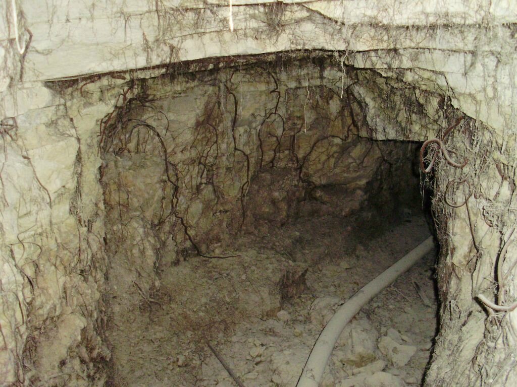P7290100