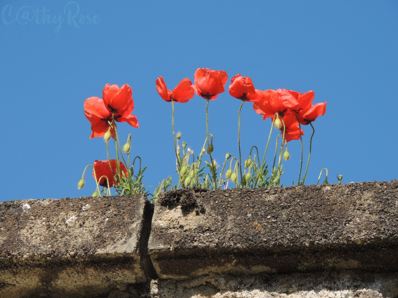 20-sur les murs