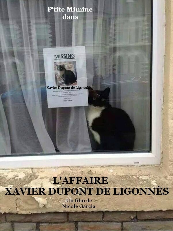 dupont de Ligonnès 1