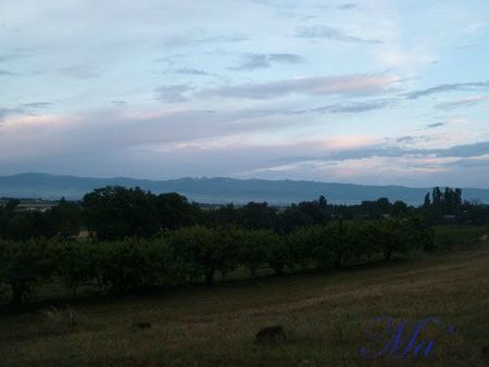 verger_110604