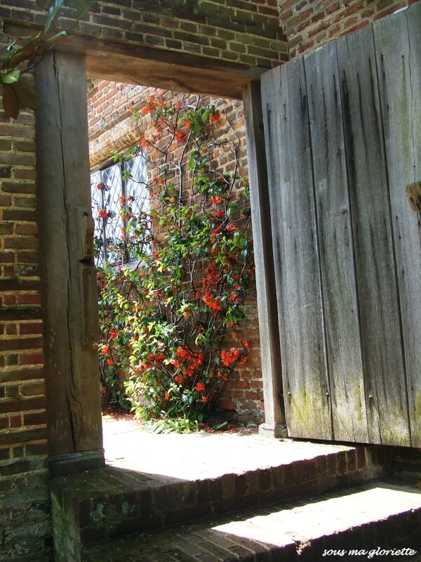 sissinghurt15