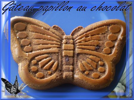 g_teau_papillon_chocolat