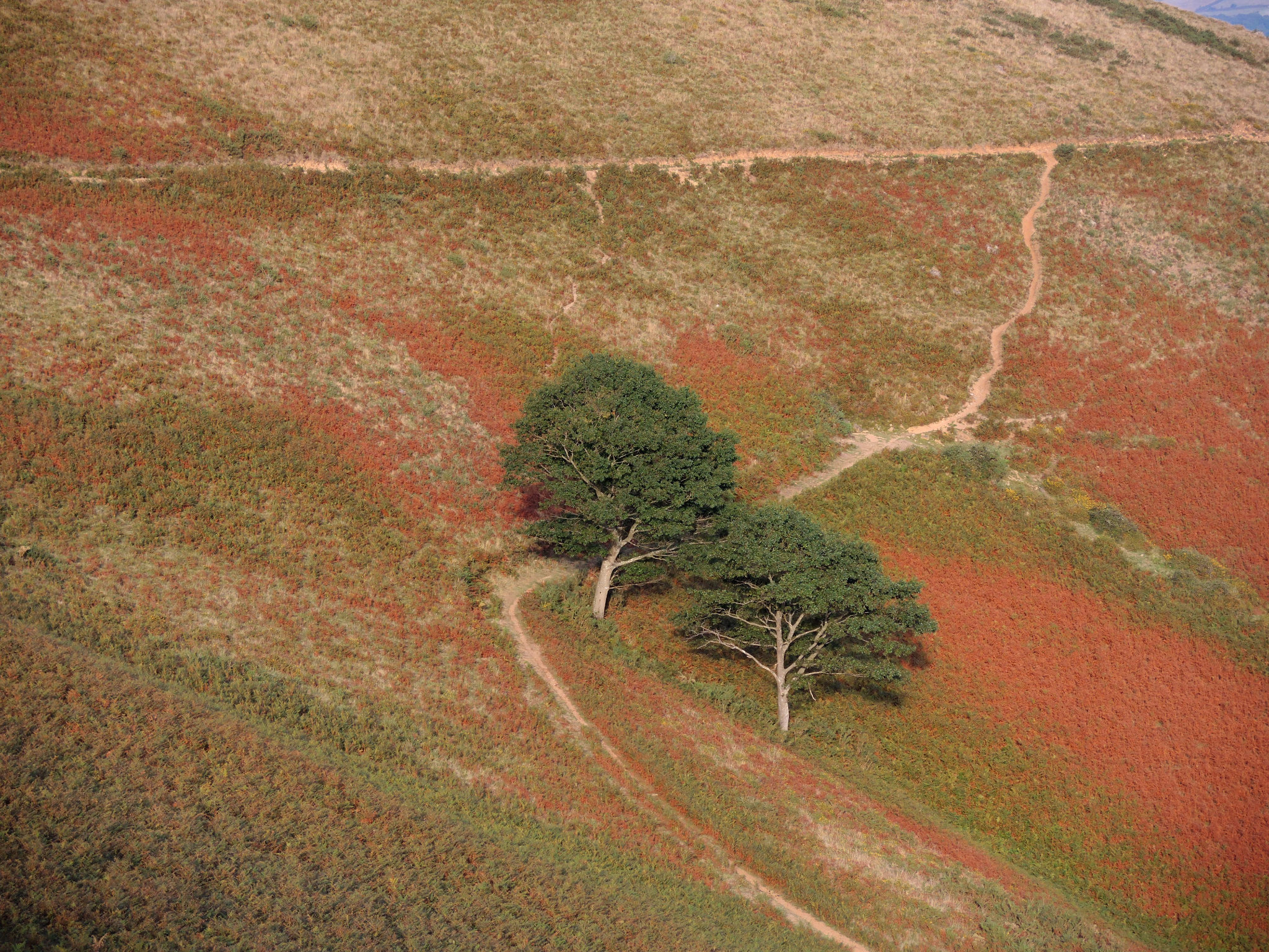 Mont Ursuya, à travers champs, couleurs