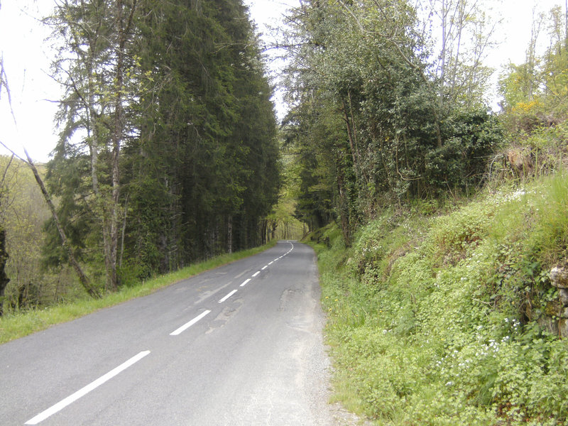 BILD0065