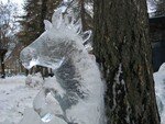 cheval_glace
