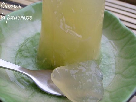 citron_agar_agar
