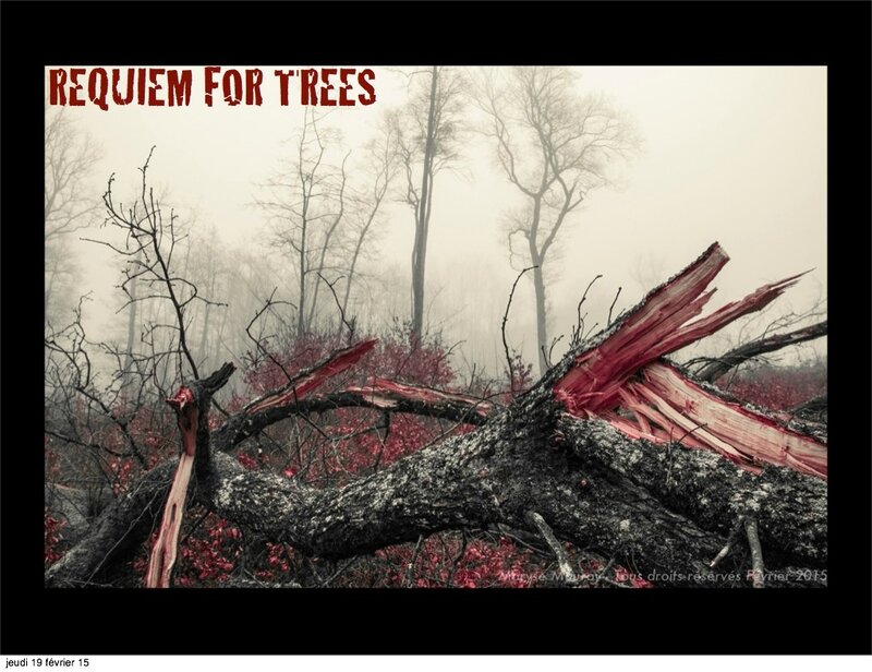 Requiem for trees