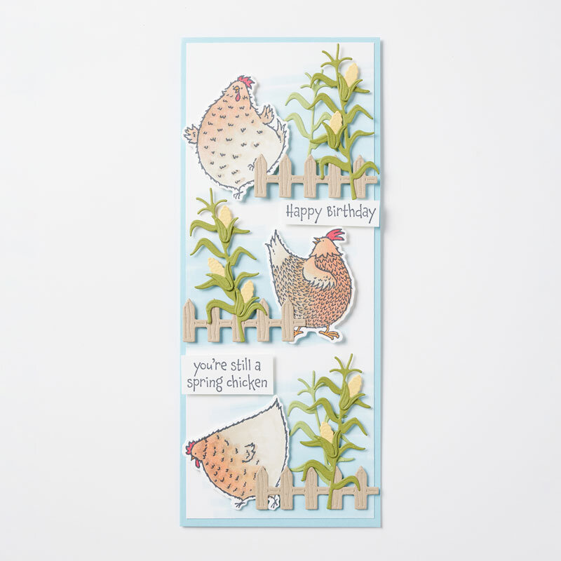 Lots Mon poussin et Salut poulette_Echantillon_individuel_7