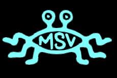 MSV_logo_2