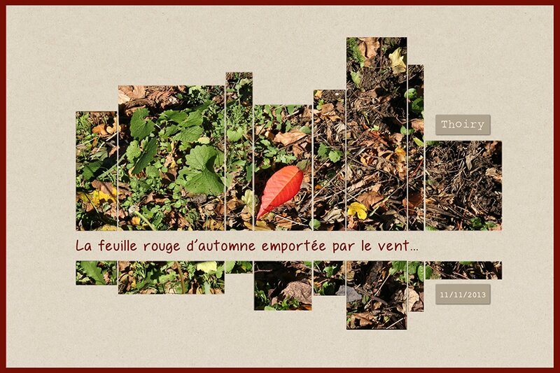 automne_feuille-rouge_900