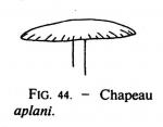 Joss p 195 fig 44
