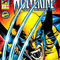 Panini Marvel : <b>Wolverine</b> V1