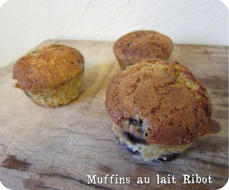 muffins lait ribot (scrap2)