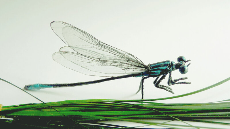 P1160381