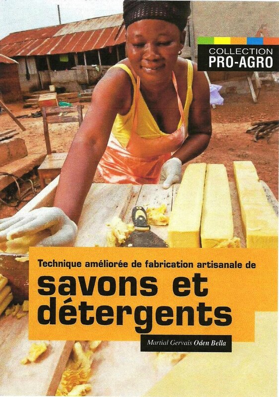 LIVRE SAVONS & DETERGENTS_Français V1