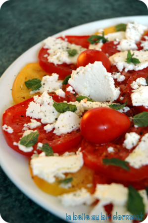 Tomate_brocciu3