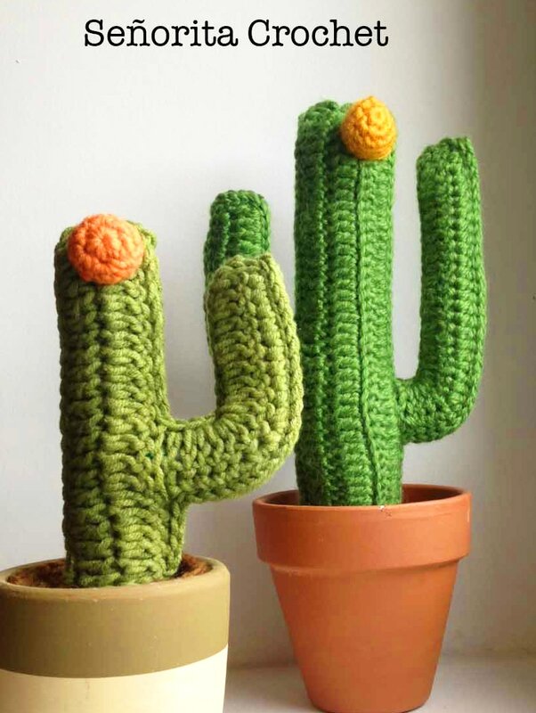 Duel de cactus