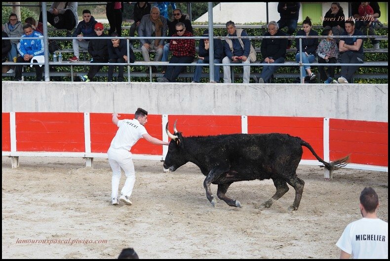 N°142(Ricard)Noves07-border