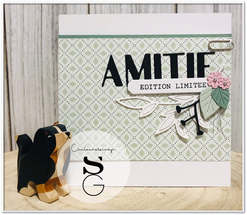Couleuretscrap_pour_Simply_Graphic_carte_amitié