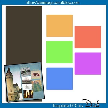 template_dids_010_preview