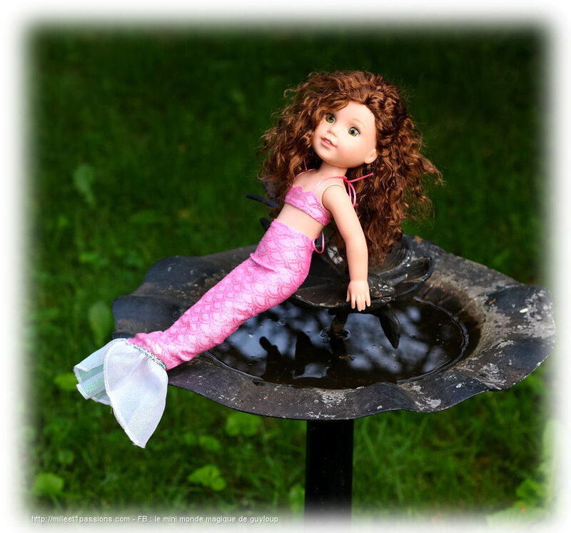 IMG_4990-1-2