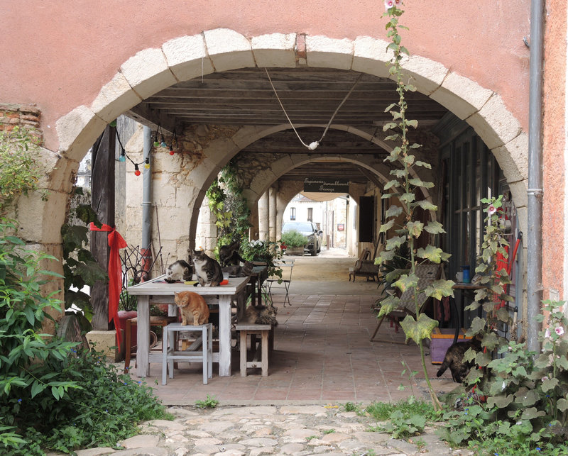 Labastide-d'Armagnac, place royale, arcades (40)