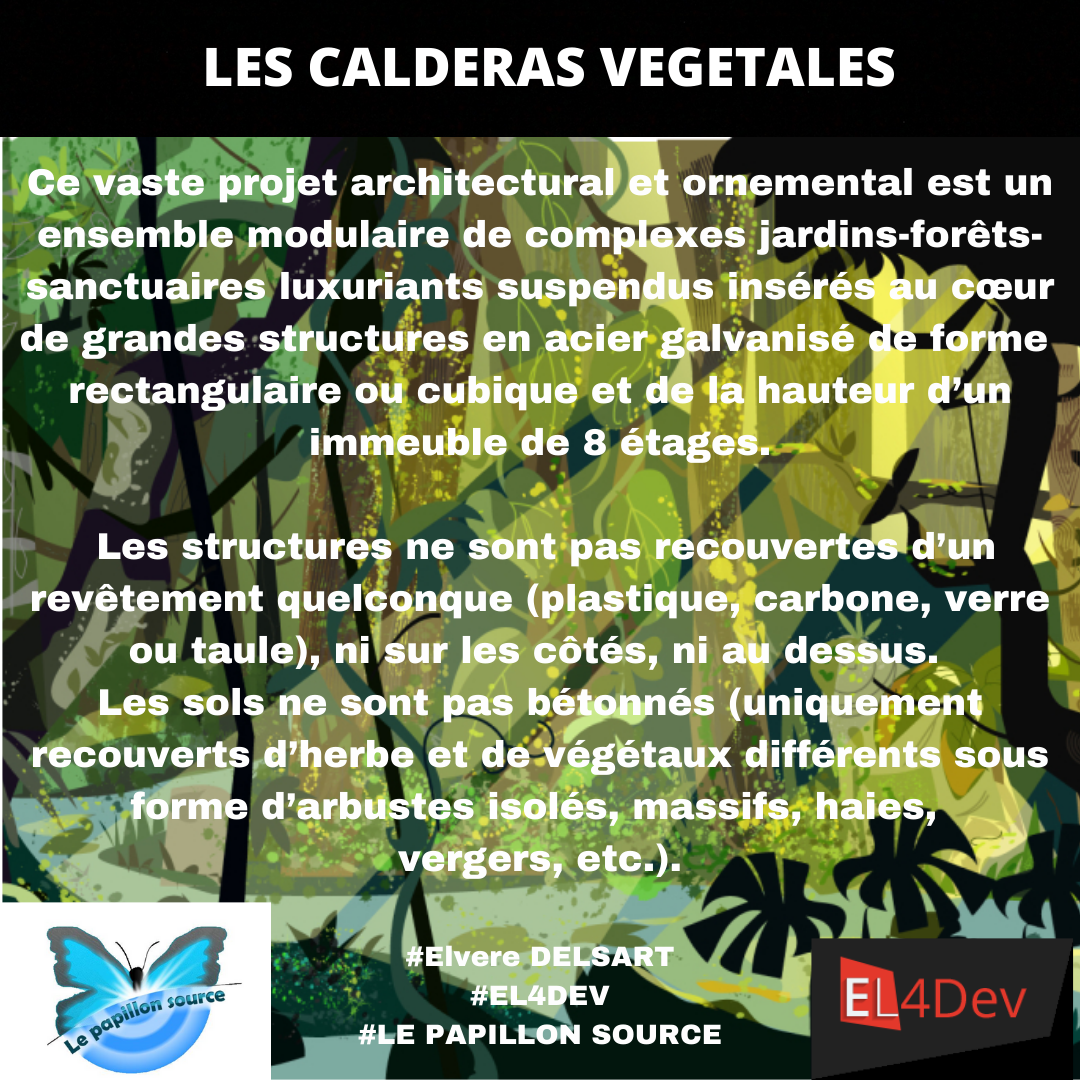 Elvere DELSART 63
