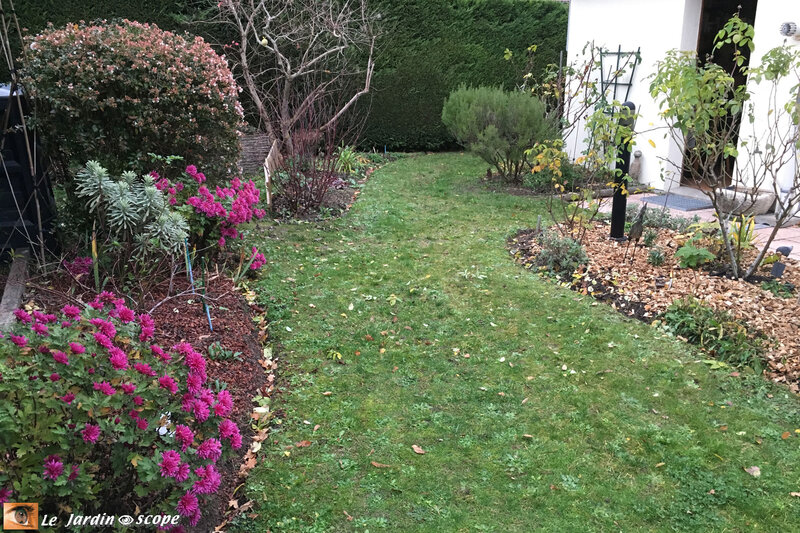 Jardin_d_hiver
