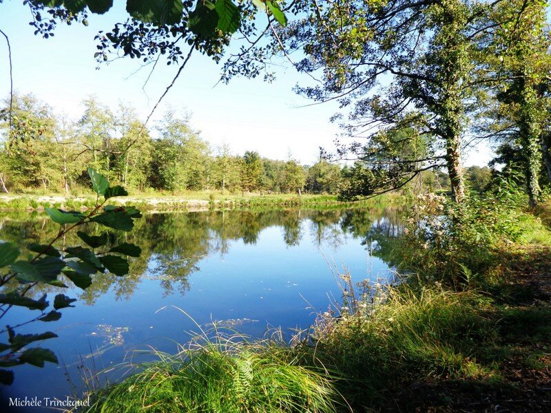 Etang de la Glacière, Eglise et fontaine de Laluque 291016