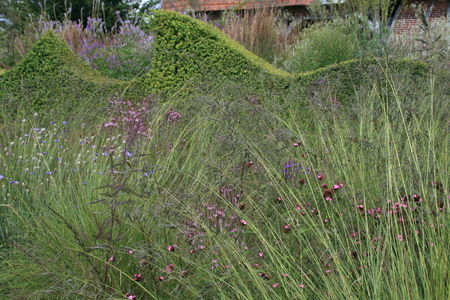 Jardin_Plume_11_7_2008_025