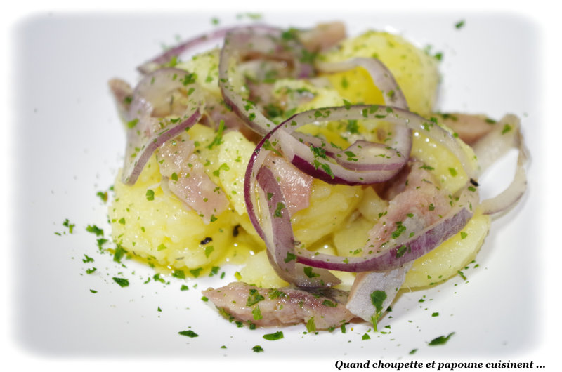 salade de harengs marinés-3817