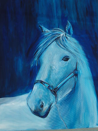 cheval_004