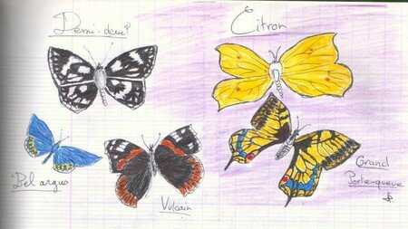 dessins_020a