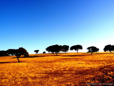 Alentejo - Portugal