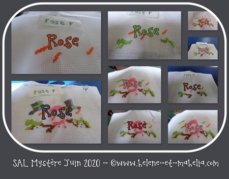 rose_saljun20_col3