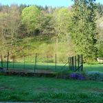 2013-05-061