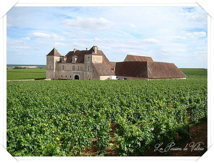 6-Val Clos Vougeot