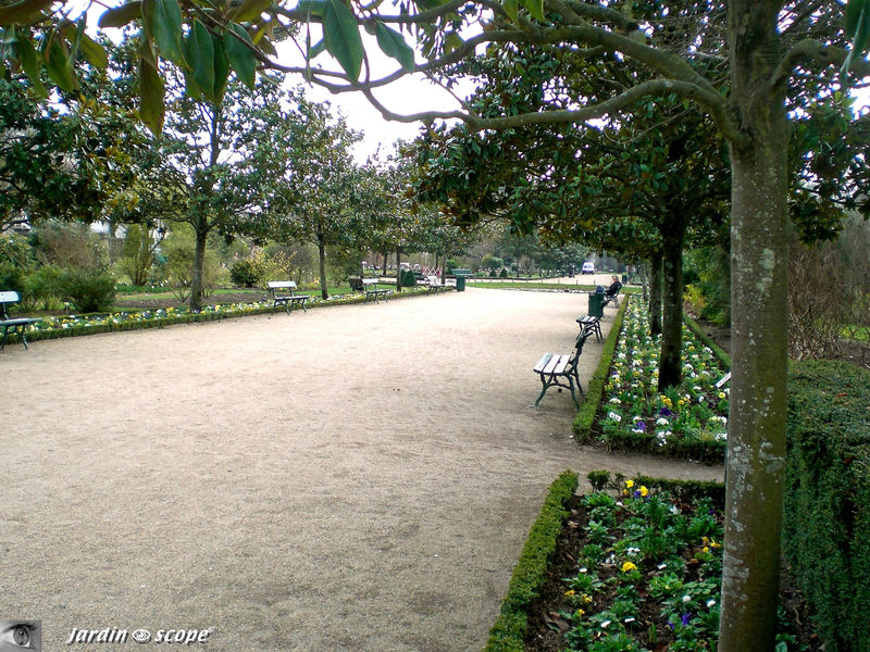 Jardin botanique de Tours, allée des Magnolias