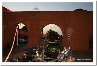 CALECHES OU TAXIS MAROCAINS (12)