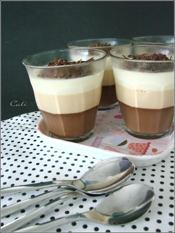 Panna Cotta aux 2 chocolats & Dulce de Leche 001