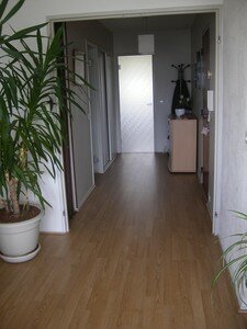 IMGP4029