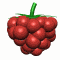 478_raspberry