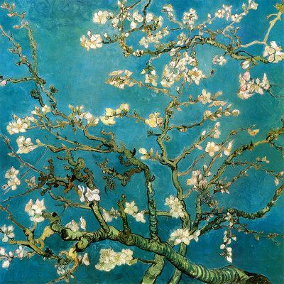 van-gogh-vincent-branches-d-amandier-en-fleurs-1890