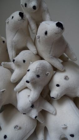 bears