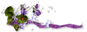 Gif barre ruban mauve fleurs mauves et blanches gauche 320 pixels