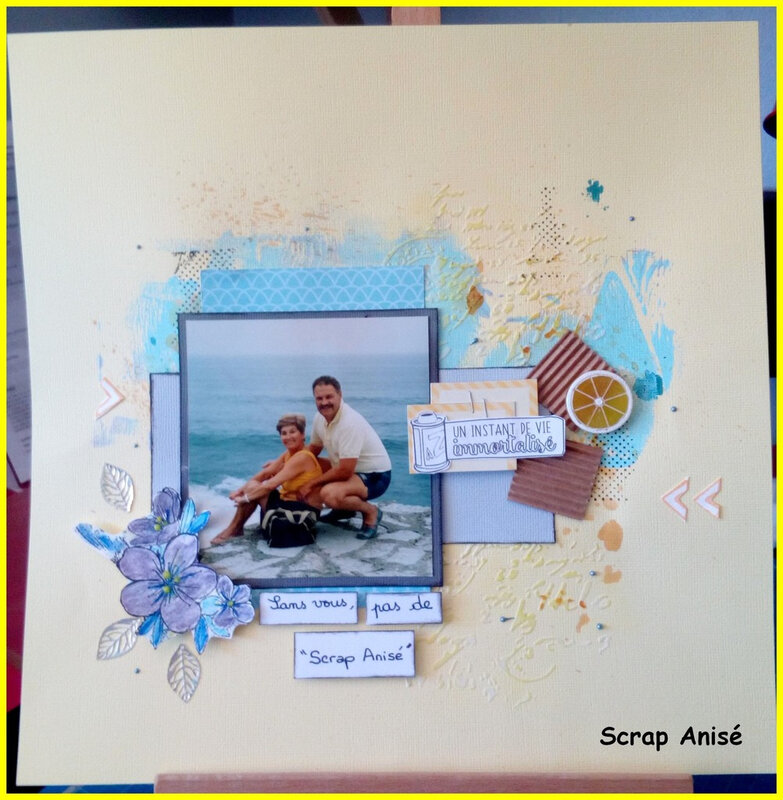 11 - Scrap Anisé