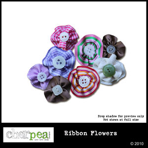cpd_ribbon_flowers_preview600_01