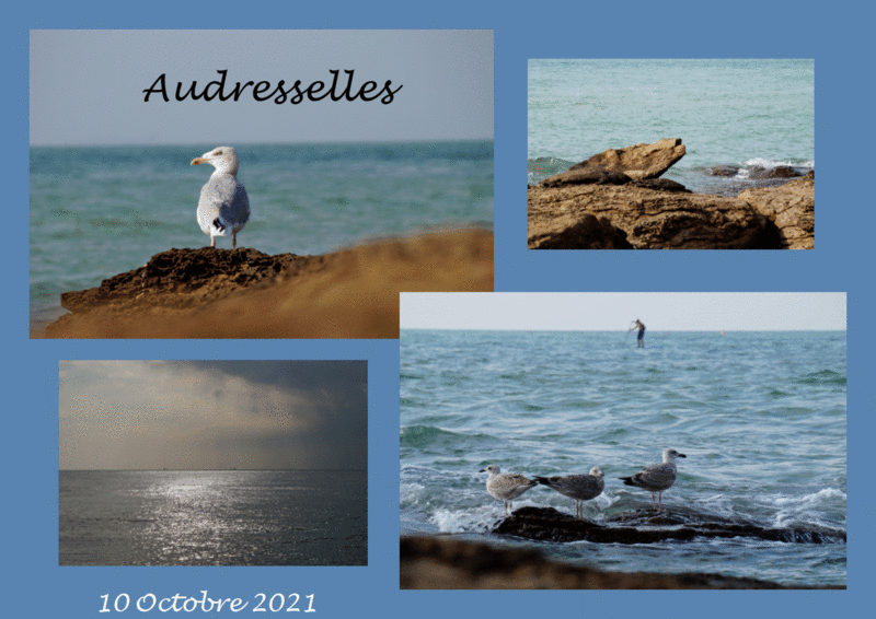 6-Véronique Audresselles