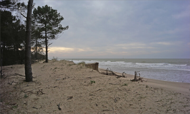 La Palmyre plage FE 200221 4 érosion ym